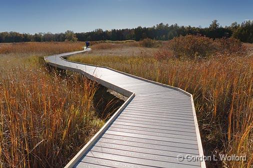 GORDON WOLFORD PHOTOGRAPHY Ontario Central Ontario Marsh